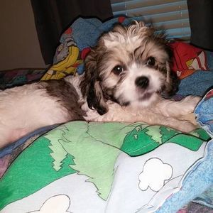 Meet your Posher, Maryanne